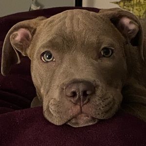 Meet your Posher, Caroline